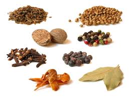 Manufacturers Exporters and Wholesale Suppliers of Whole Spices Gandhinagar Gujarat