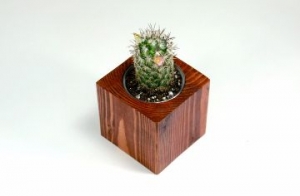 Wooden Flower Pots Manufacturer Supplier Wholesale Exporter Importer Buyer Trader Retailer in Saharanpur Uttar Pradesh India