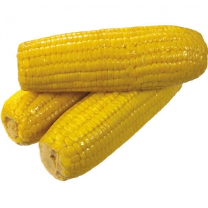 Manufacturers Exporters and Wholesale Suppliers of Yellow Maize Darjeeling West Bengal