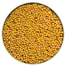 Manufacturers Exporters and Wholesale Suppliers of Yellow Mustard Seed Ahmedabad Gujarat