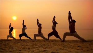 yoga classes Services in Vadodara Gujarat India