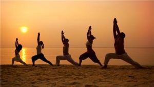 yoga classes Services in Vadodara Gujarat India
