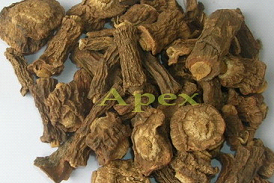 Manufacturers Exporters and Wholesale Suppliers of Indian Sarsaparilla Jaipur Rajasthan