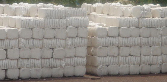 Manufacturers Exporters and Wholesale Suppliers of Cotton Bales Ahmedabad Gujarat