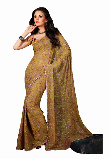 Manufacturers Exporters and Wholesale Suppliers of Light Brown Saree SURAT Gujarat