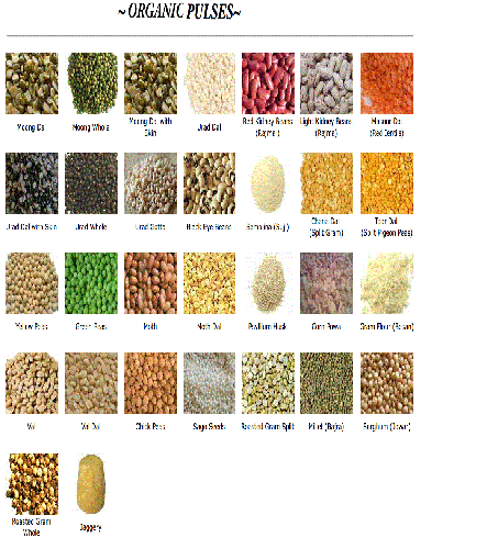 Organic Pulses and Spices Manufacturer Supplier Wholesale Exporter Importer Buyer Trader Retailer in Mumbai Maharashtra India