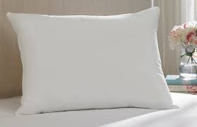 Manufacturers Exporters and Wholesale Suppliers of Washable Pillows New Delhi Delhi