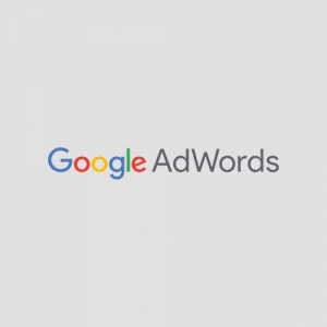 Manufacturers Exporters and Wholesale Suppliers of Adwords Marketing Ludhiana Punjab