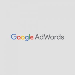 Service Provider of Adwords Marketing Ludhiana Punjab 