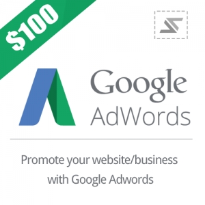 Service Provider of Google Adwords Professional Ludhiana Punjab