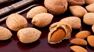 Almond Manufacturer Supplier Wholesale Exporter Importer Buyer Trader Retailer in Munirabad Karnataka India