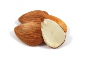 Manufacturers Exporters and Wholesale Suppliers of Apricots Mumbai Maharashtra Apricots