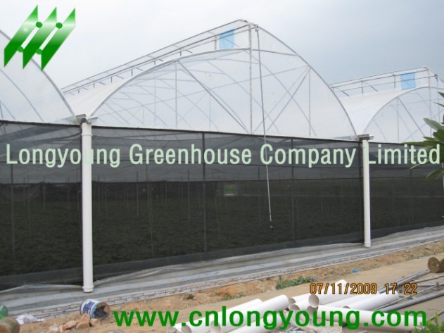 Manufacturers Exporters and Wholesale Suppliers of Saw Tooth Greenhouse xiamen 