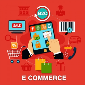 B2C E Commerce Web Development Services in Delhi Delhi India