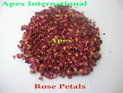 Rose Petals Rosa Centifolia Manufacturer Supplier Wholesale Exporter Importer Buyer Trader Retailer in Jaipur Rajasthan India