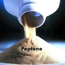 Manufacturers Exporters and Wholesale Suppliers of Peptone Powder Navi Mumbai Maharashtra