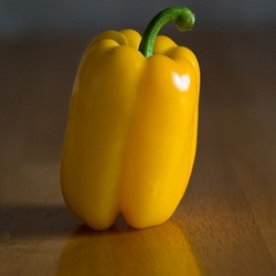 Manufacturers Exporters and Wholesale Suppliers of Yellow Pepper Pathanamthitta Kerala