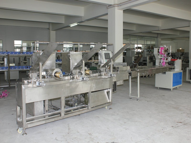 Service Provider of flow packaging jiangm  