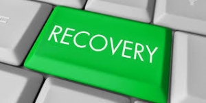 Service Provider of Recovery Work New Delhi Delhi