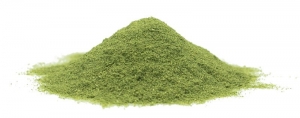 Manufacturers Exporters and Wholesale Suppliers of Stevia Green Powder Sunam Punjab