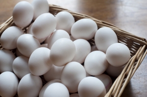 Manufacturers Exporters and Wholesale Suppliers of White Chicken Eggs Baltimore Maryland