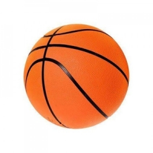 Basketball Manufacturer Supplier Wholesale Exporter Importer Buyer Trader Retailer in Shalimar Bagh Delhi India