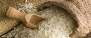Manufacturers Exporters and Wholesale Suppliers of Basmati Rice U.P. Uttar Pradesh