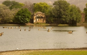 Bharatpur Tour