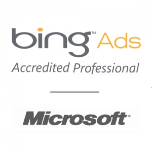 Service Provider of Bing Ads For E Commerce Ludhiana Punjab 