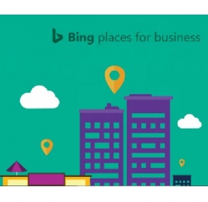 Service Provider of Bing Places Listing Delhi Delhi 