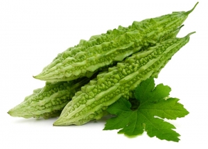Manufacturers Exporters and Wholesale Suppliers of Bitter gourd KOCHI Kerala