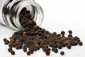 Manufacturers Exporters and Wholesale Suppliers of Black Pepper U.P. Uttar Pradesh