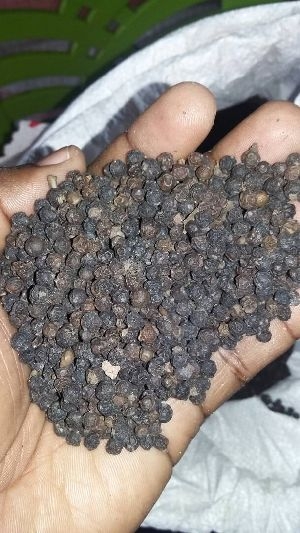 Manufacturers Exporters and Wholesale Suppliers of Black Pepper Nairobi Nairobi