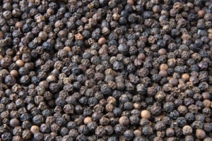Manufacturers Exporters and Wholesale Suppliers of BLACK PEPPER Mumbai Maharashtra BLACK PEPPER