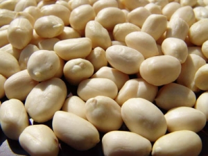 Blanched peanut Manufacturer Supplier Wholesale Exporter Importer Buyer Trader Retailer in Ahmadabad Gujarat India