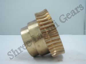 Worm Gear