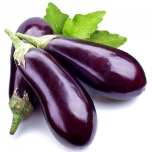 Brinjal Manufacturer Supplier Wholesale Exporter Importer Buyer Trader Retailer in Bangalore Karnataka India