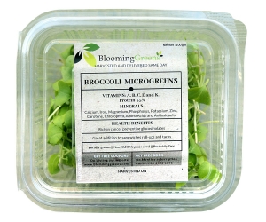 Broccoli Microgreens Manufacturer Supplier Wholesale Exporter Importer Buyer Trader Retailer in Krishnarajapura R S Karnataka India