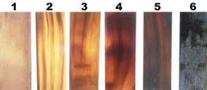 Manufacturers Exporters and Wholesale Suppliers of Buffalo Horn Plates SAMBHAL Uttar Pradesh