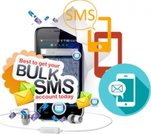 Service Provider of Bulk SMS Packages Delhi Delhi 