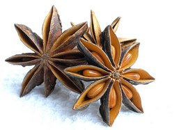 Manufacturers Exporters and Wholesale Suppliers of Star Aniseed Vinh 