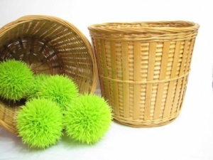 Cane Fruits Pot Manufacturer Supplier Wholesale Exporter Importer Buyer Trader Retailer in KANPUR Uttar Pradesh India