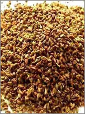 Carom Seeds