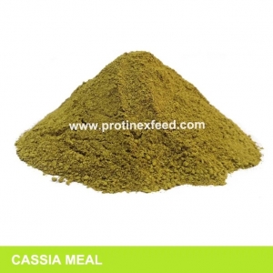 Manufacturers Exporters and Wholesale Suppliers of Cassia Meal Barmer Rajasthan