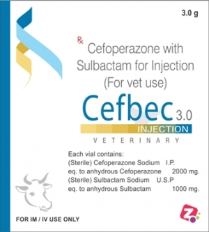 Manufacturers Exporters and Wholesale Suppliers of Cefoperazone & Sulbactam 3 gm Injection AMBALA CITY Haryana