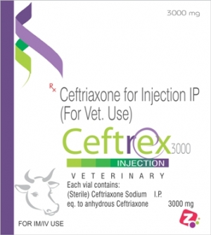 Manufacturers Exporters and Wholesale Suppliers of CEFTREX 3000 AMBALA CITY Haryana