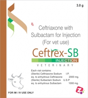 Manufacturers Exporters and Wholesale Suppliers of CEFTREX - SB 3 AMBALA CITY Haryana