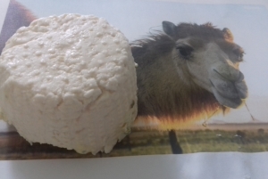 Manufacturers Exporters and Wholesale Suppliers of .Camel Cheese Chennai Tamil Nadu