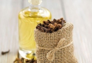 Clove leaf oil Manufacturer Supplier Wholesale Exporter Importer Buyer Trader Retailer in Surat Gujarat India