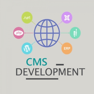 Service Provider of CMS Web Development Ludhiana Punjab